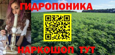 ALPHA PVP Обь