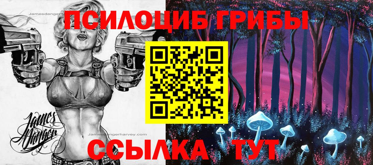 Псилоцибиновые грибы мицелий Тайшет